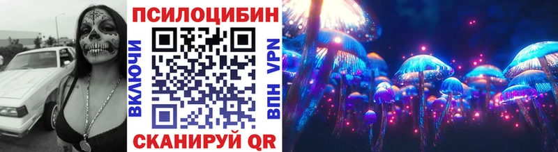 Купить  Себеж  Псилоцибиновые грибы мицелий 